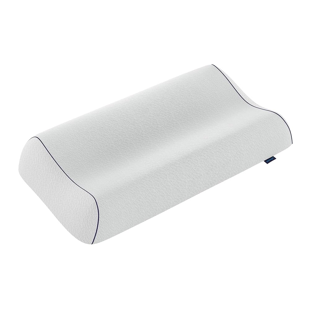 【しず】Technogel Anatomic Pillow9 technogel-reg-anatomic-pillows